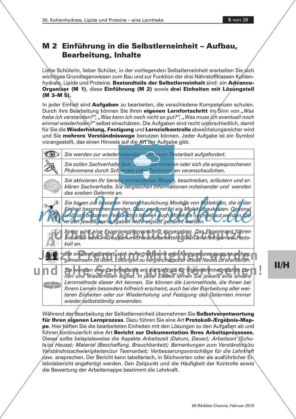 Lerntheke: Kohlenhydrate, Lipide und Proteine Preview 5