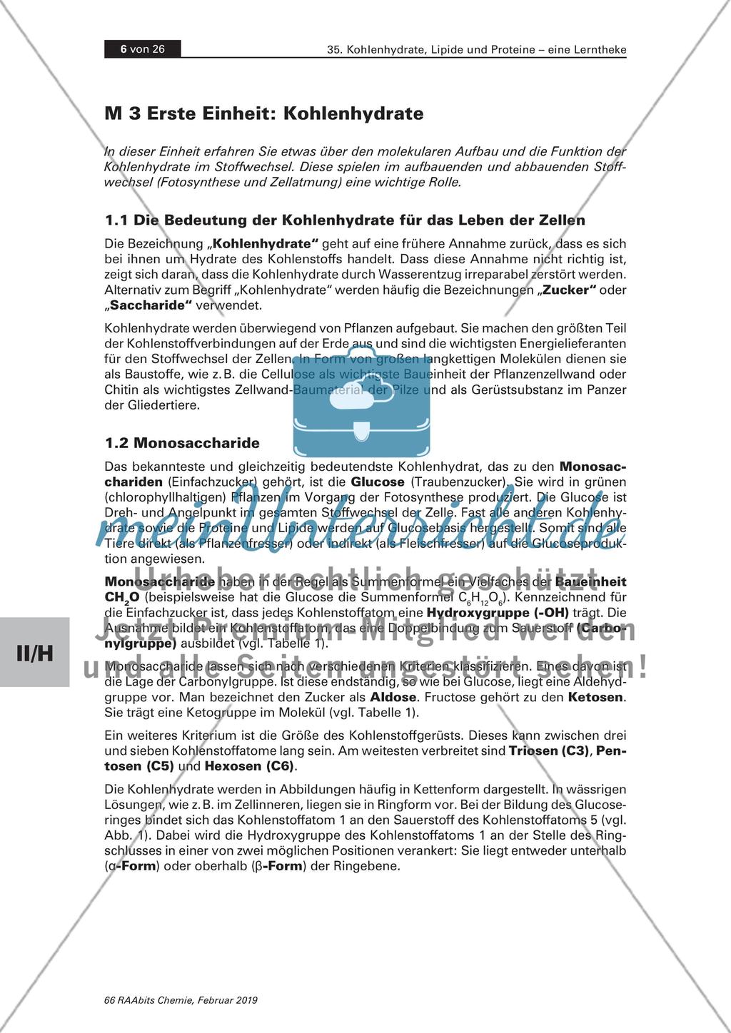Lerntheke: Kohlenhydrate, Lipide und Proteine Preview 6