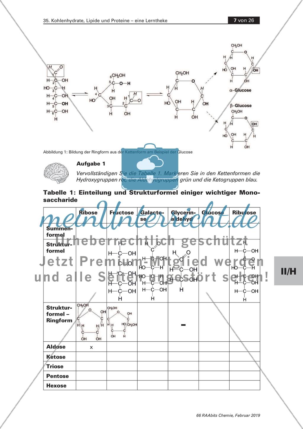 Lerntheke: Kohlenhydrate, Lipide und Proteine Preview 7