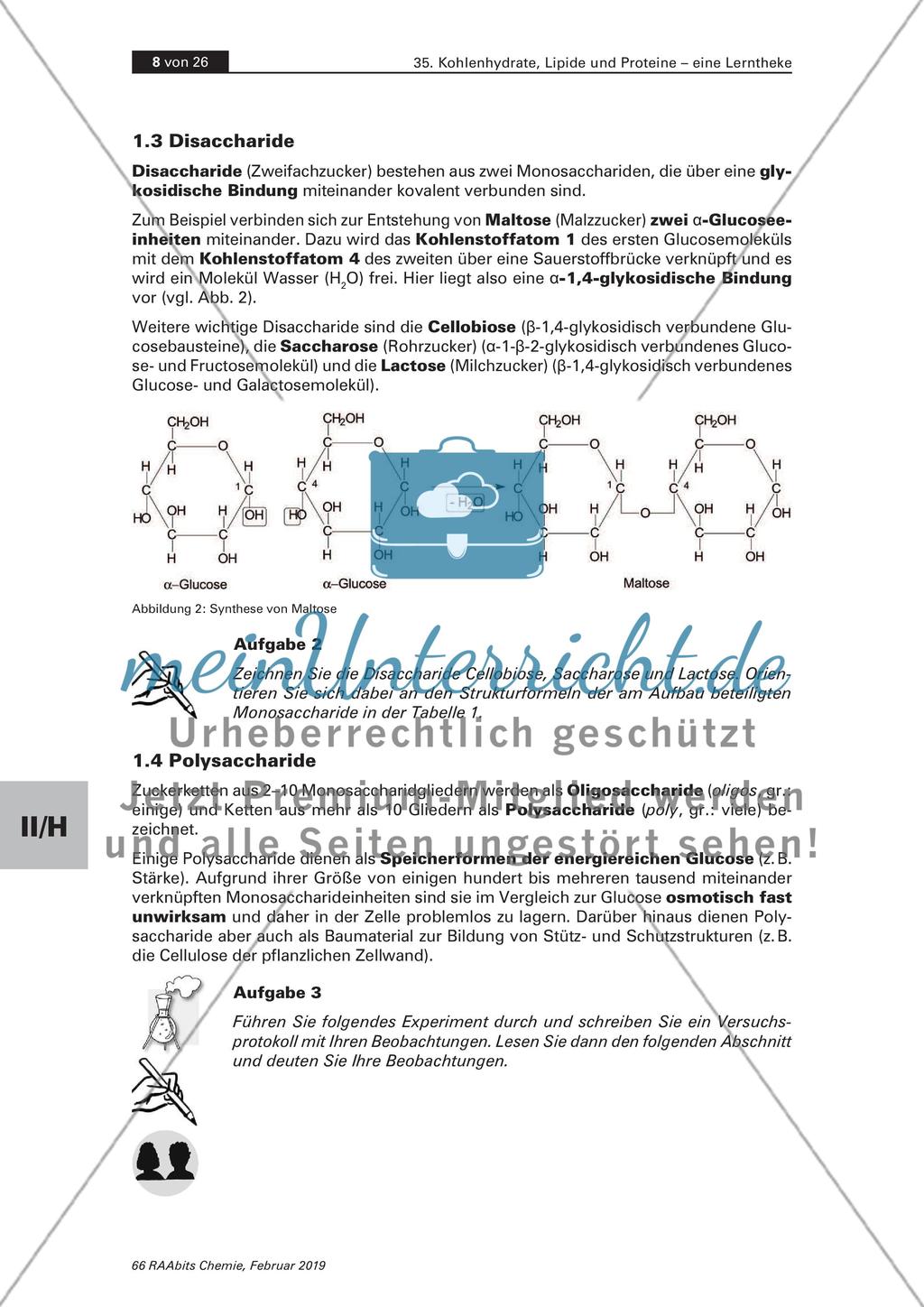 Lerntheke: Kohlenhydrate, Lipide und Proteine Preview 8