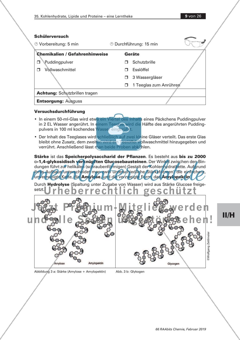 Lerntheke: Kohlenhydrate, Lipide und Proteine Preview 9