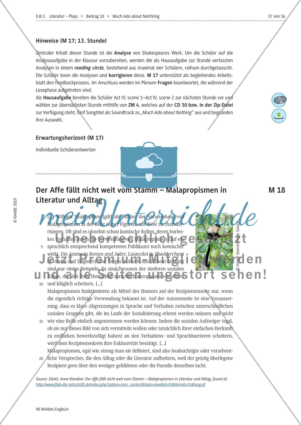 Much Ado about Nothing: Mediation Preview 1
