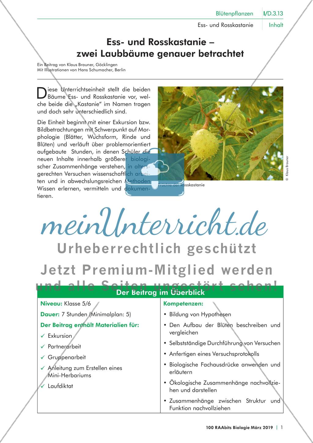 Einführung Preview 1