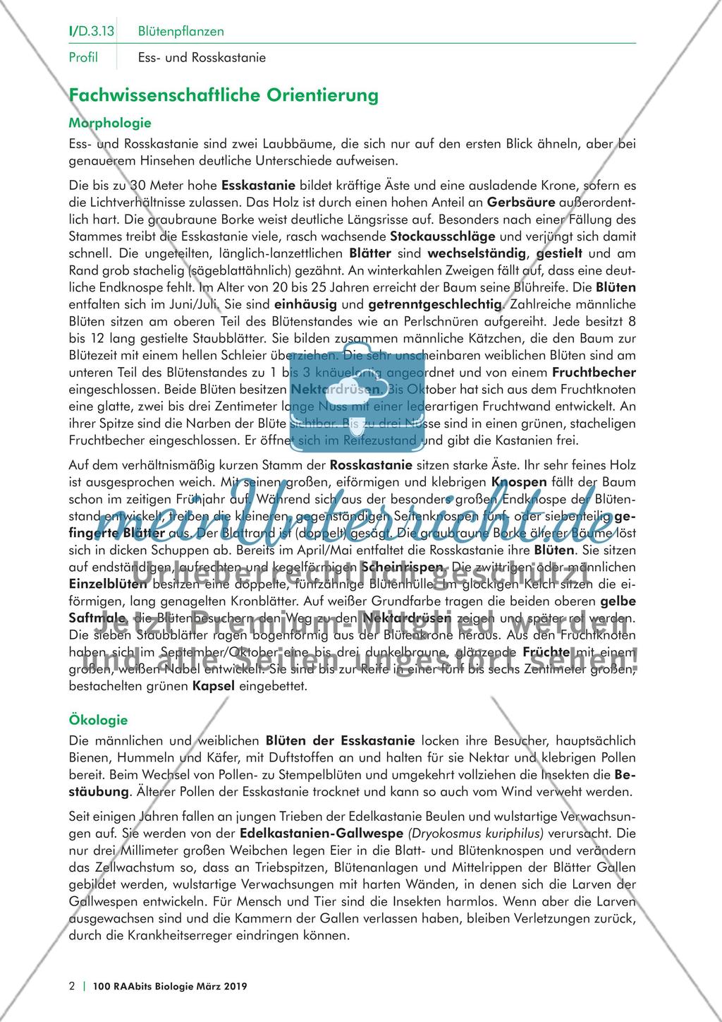 Einführung Preview 2