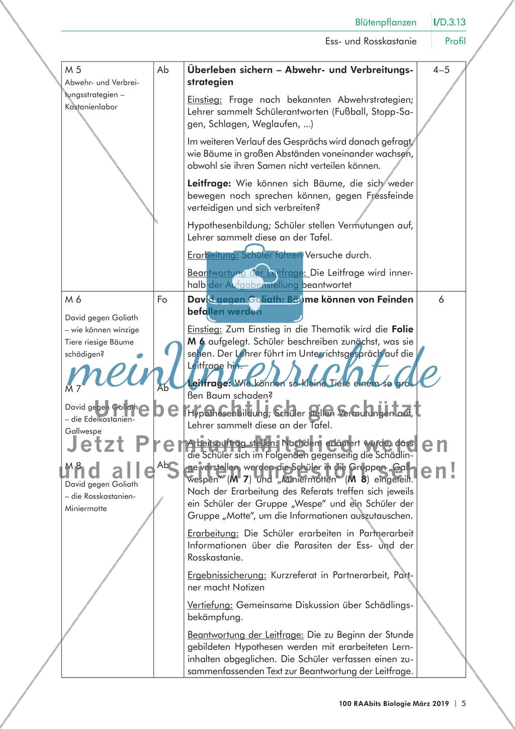 Einführung Preview 5