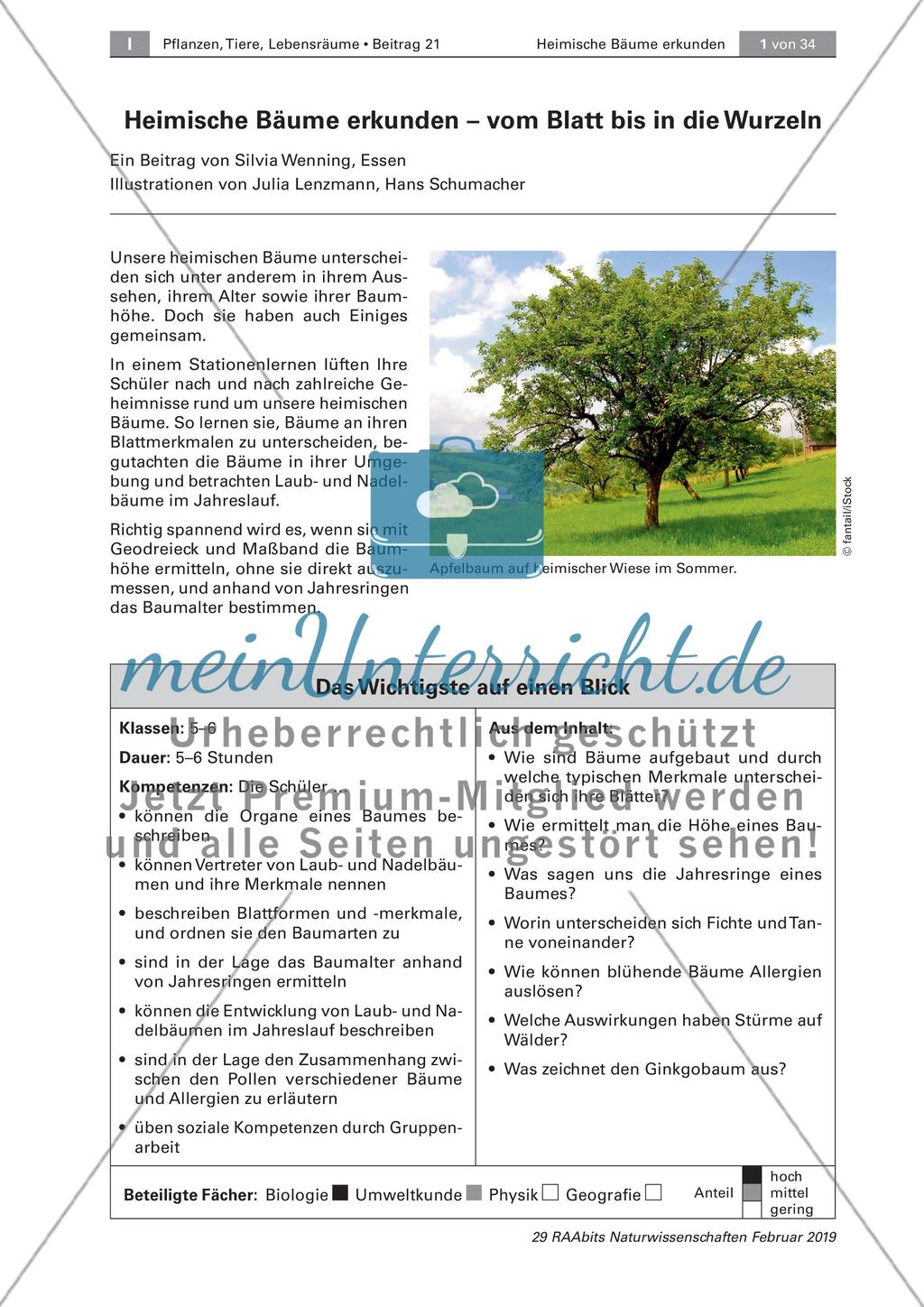 Einführung Preview 1