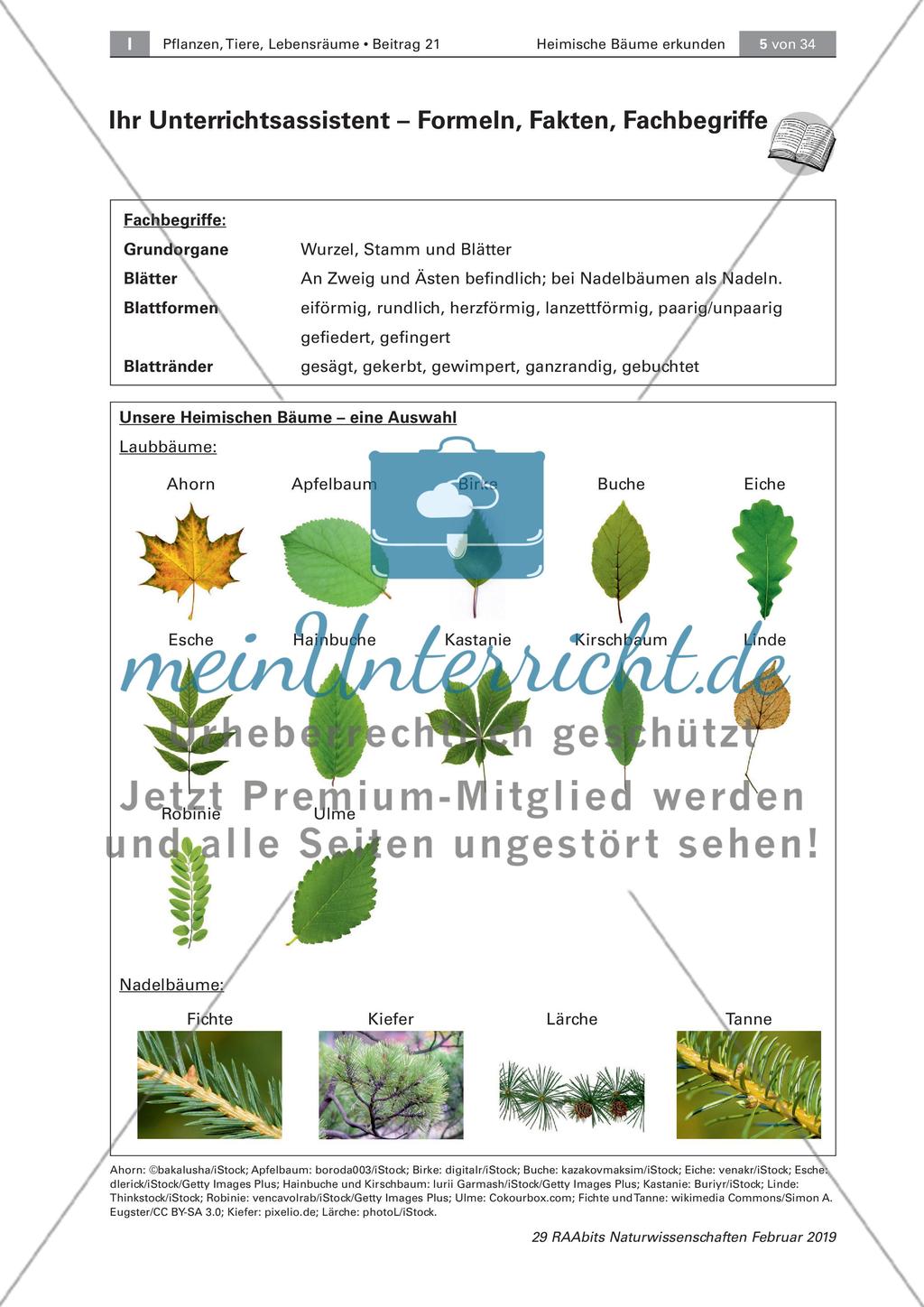 Einführung Preview 5