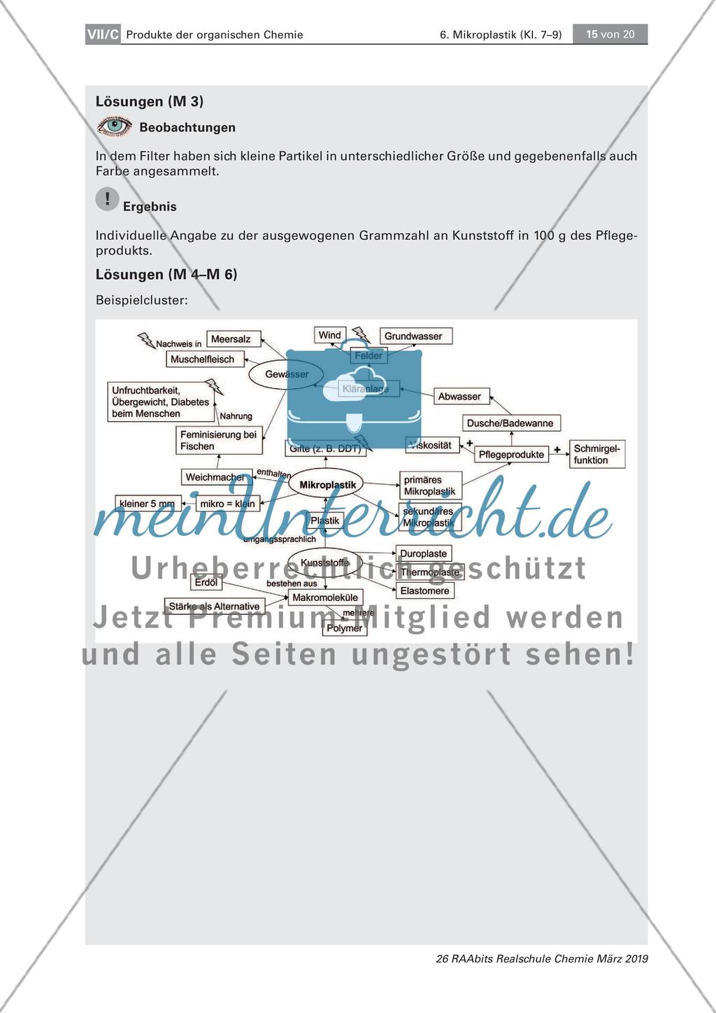 Mikroplastik: Analyse von Pflegeprodukten und Nachweisen von Plastik Preview 10