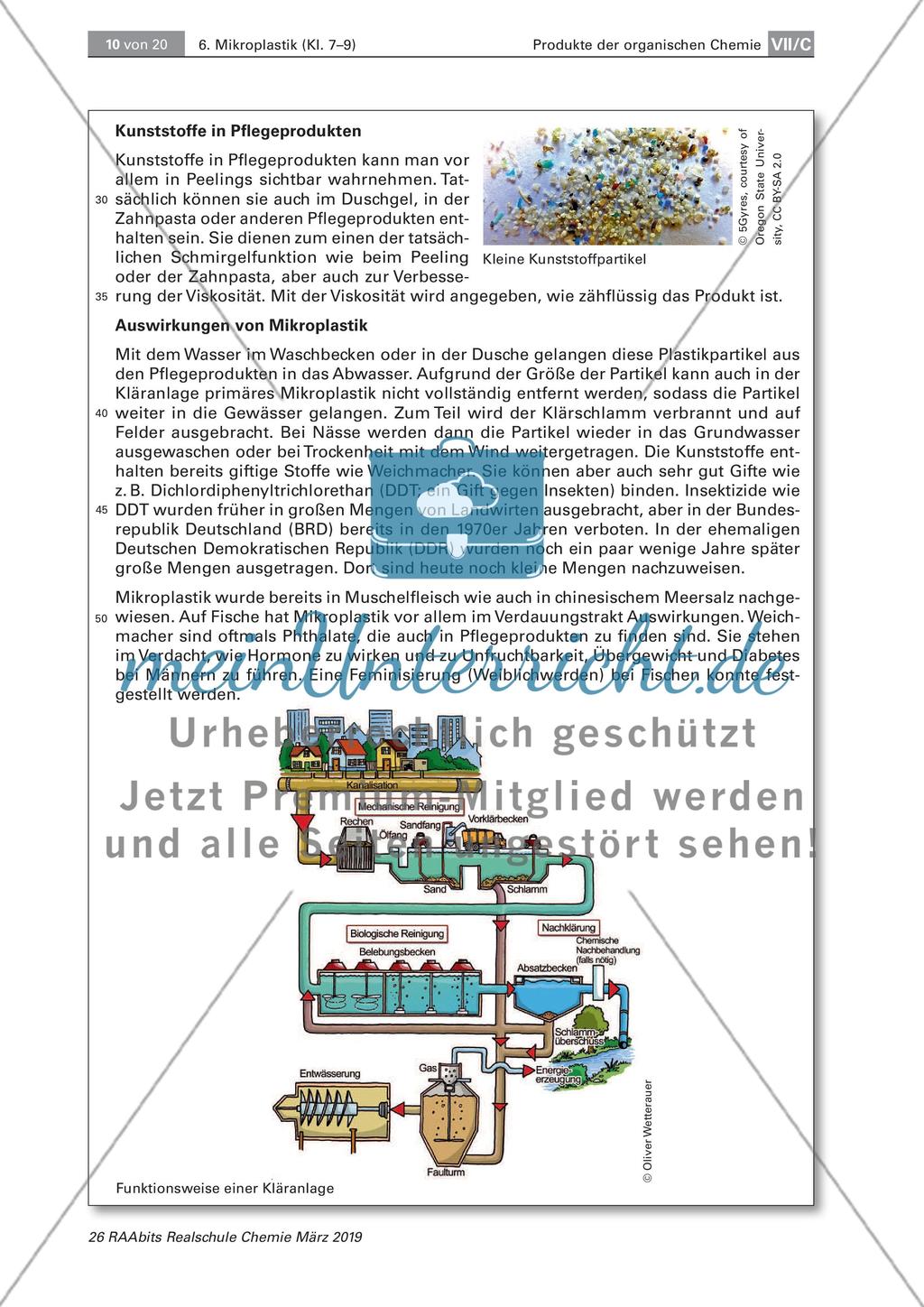Mikroplastik: Analyse von Pflegeprodukten und Nachweisen von Plastik Preview 5