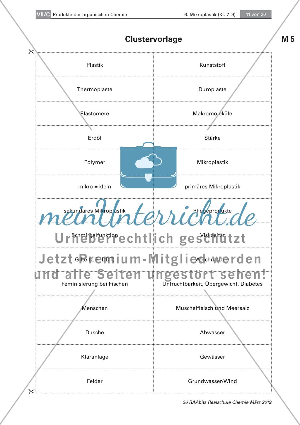 Mikroplastik: Analyse von Pflegeprodukten und Nachweisen von Plastik Preview 6