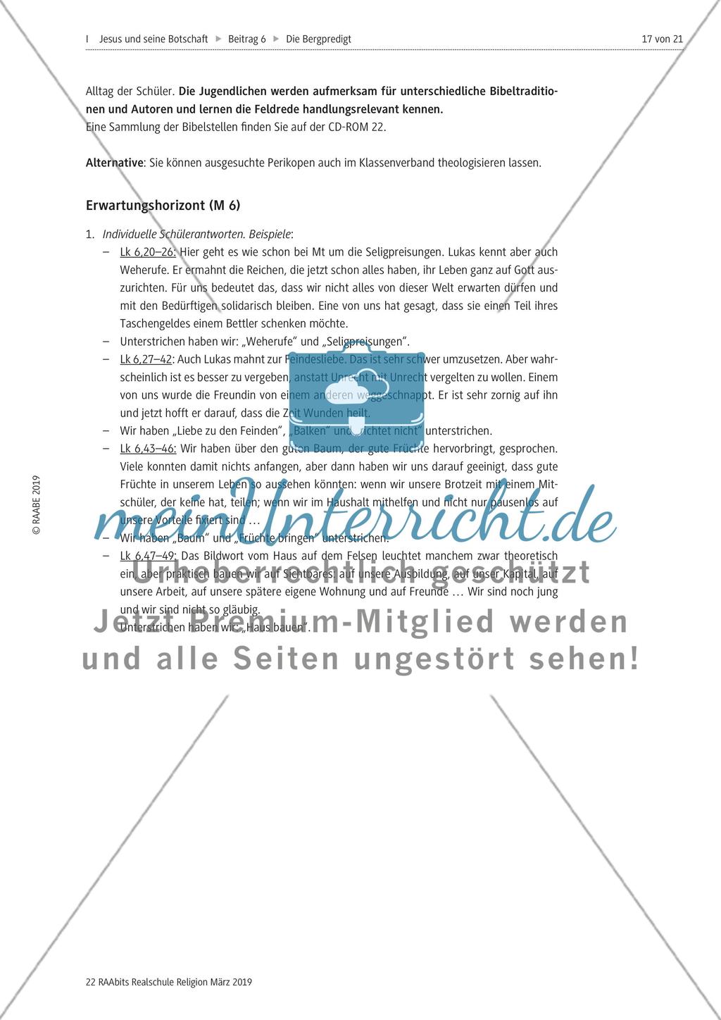 Die Bergpredigt konkret Preview 9