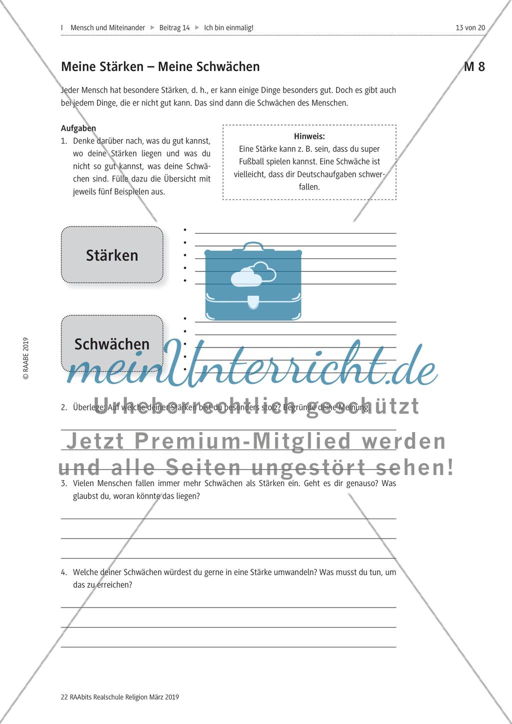 Stärken und Schwächen Preview 13