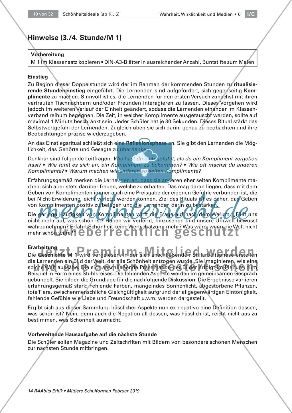 Schönheit: Begriffsdefinition Preview 4