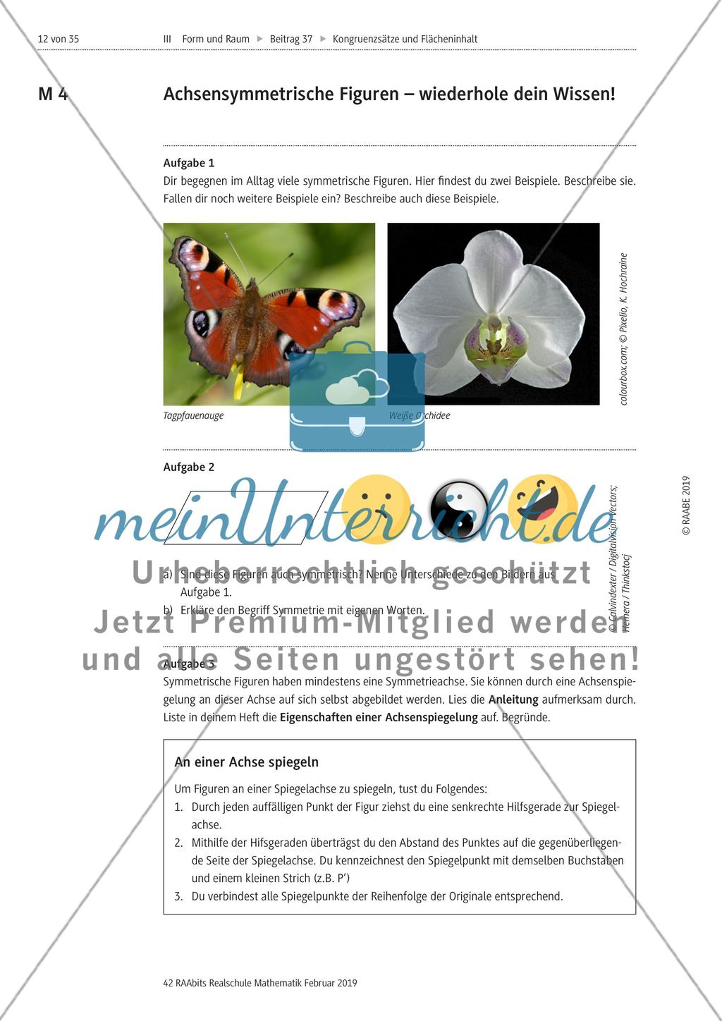 Kongrunzenabbildungen und Flächeninhalte von Dreiecken Preview 1