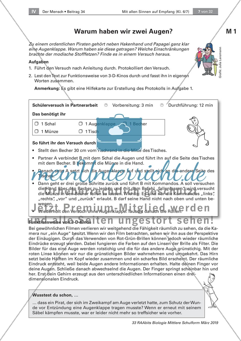 Das Sinnesorgan Auge Preview 1
