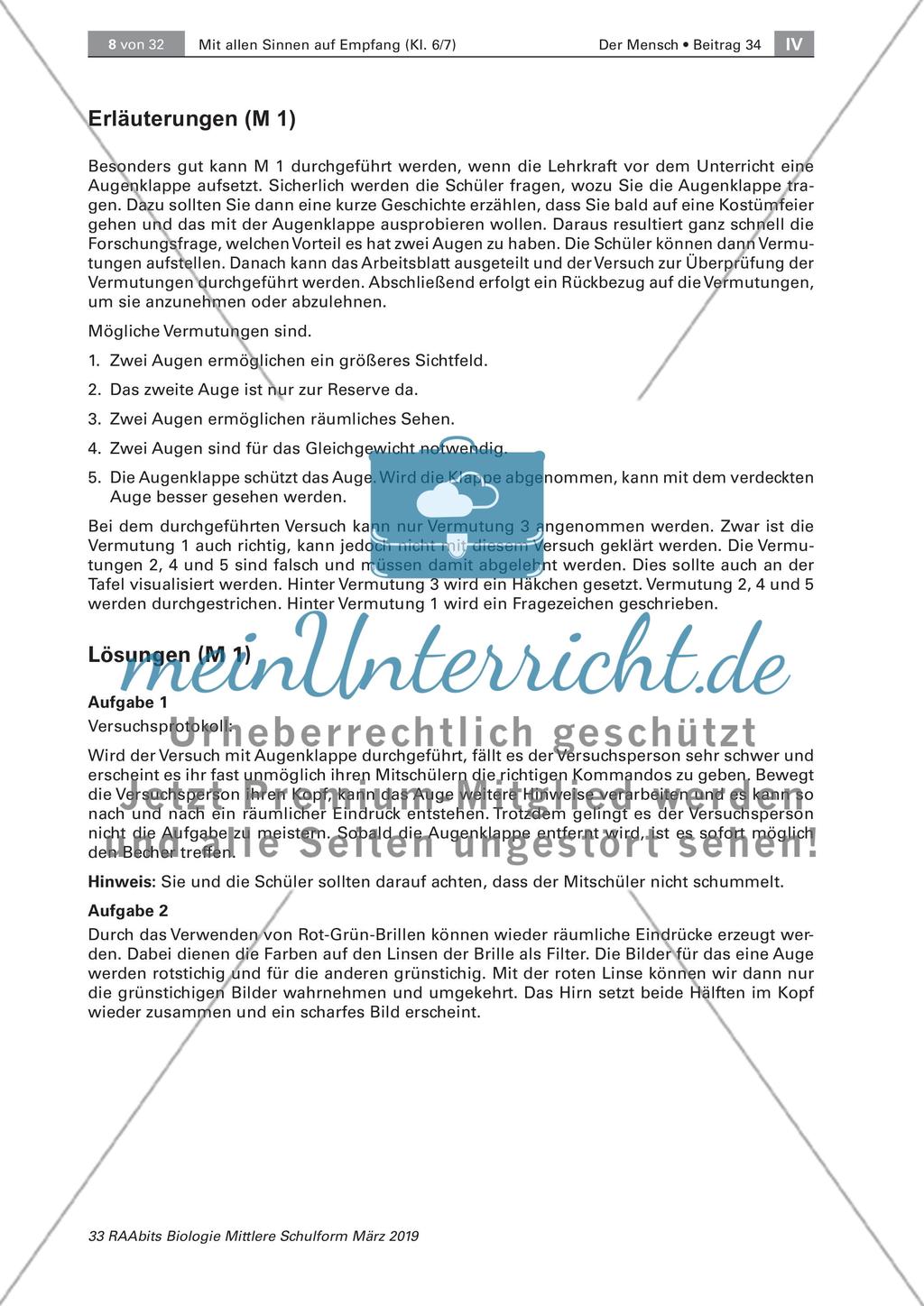Das Sinnesorgan Auge Preview 2