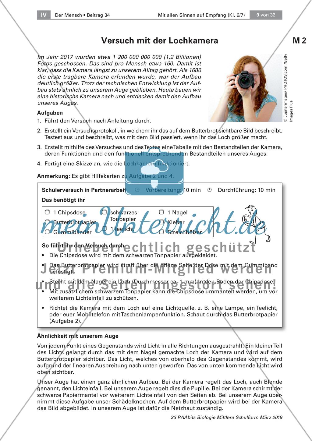 Das Sinnesorgan Auge Preview 3