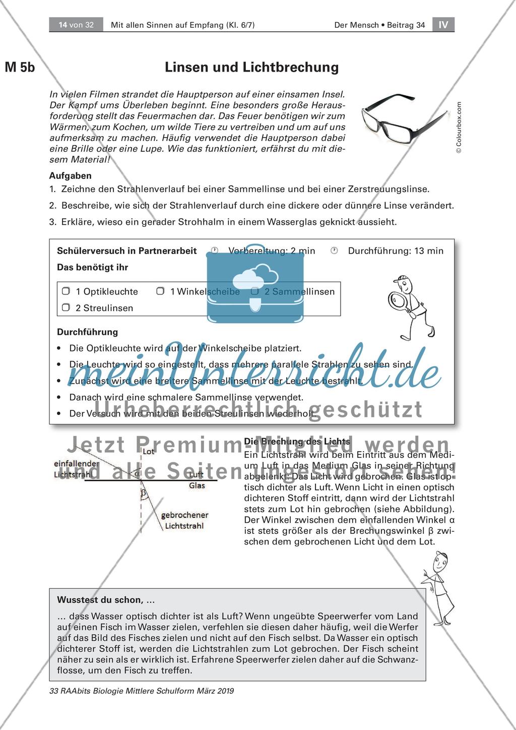 Das Sinnesorgan Auge Preview 8