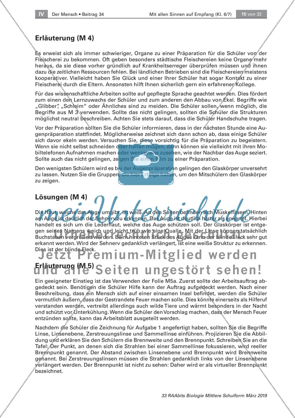 Das Sinnesorgan Auge Preview 9