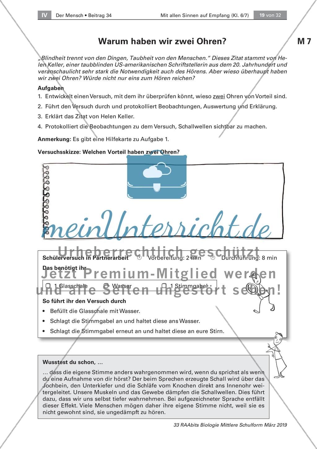 Sehfehler und der Aufbau des Ohres Preview 3