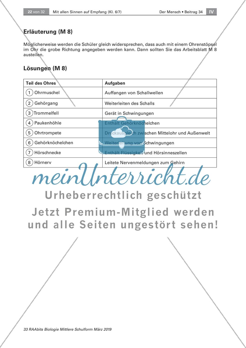 Sehfehler und der Aufbau des Ohres Preview 6