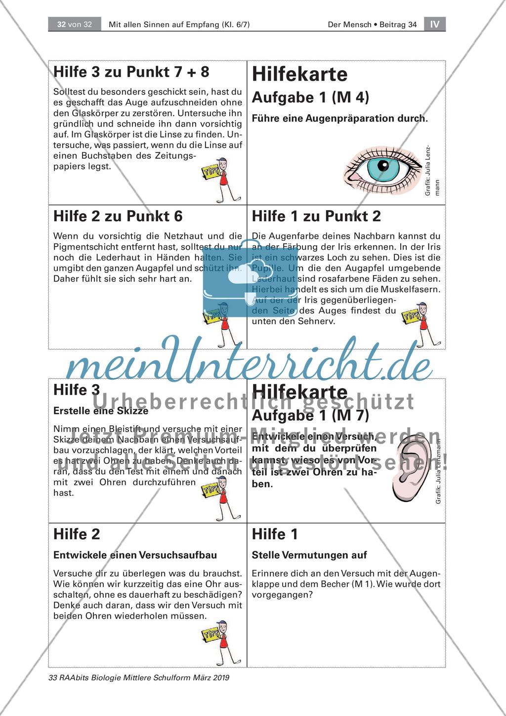 Geräusche und eine Lernerfolgskontrolle Preview 10
