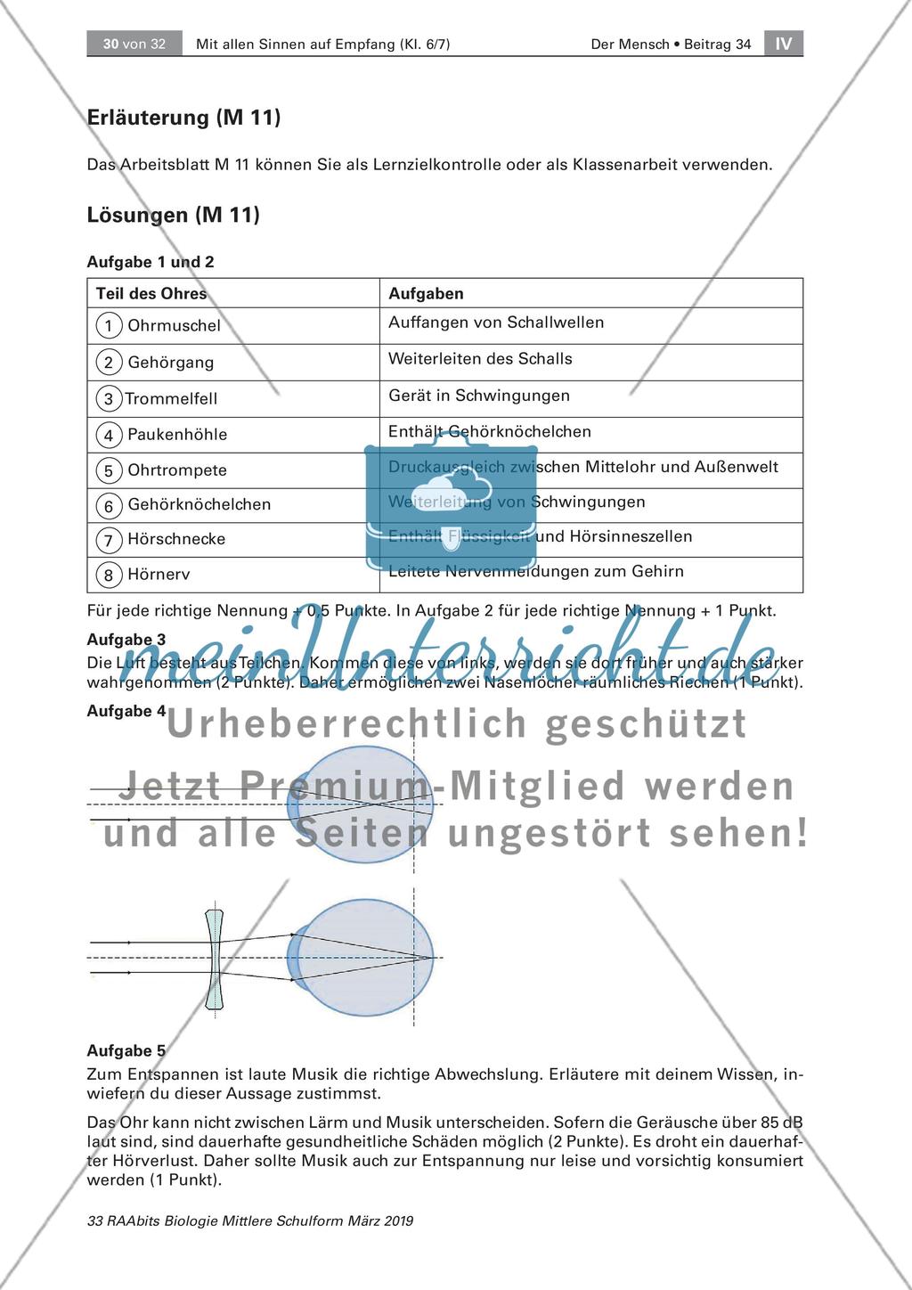 Geräusche und eine Lernerfolgskontrolle Preview 8