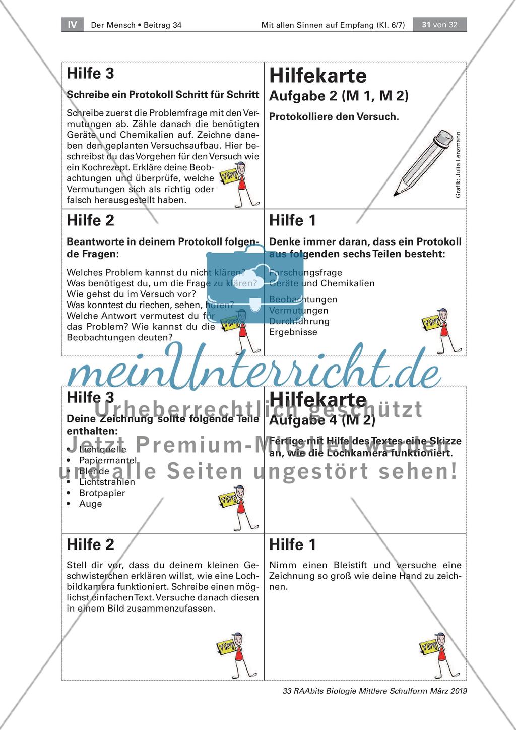 Geräusche und eine Lernerfolgskontrolle Preview 9