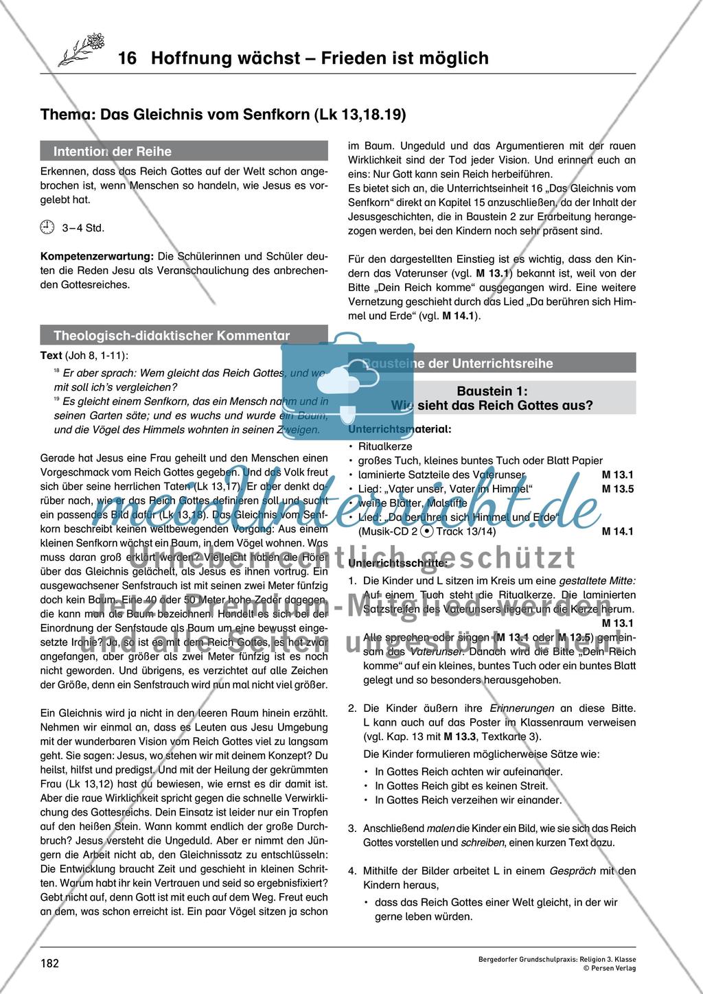 Kapitel 16 – Hoffnung wächst – Frieden ist möglich Preview 1