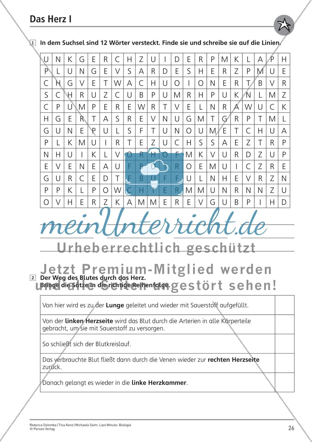 Bau und Funktion des menschlichen Körpers – Teil 4 Preview 2