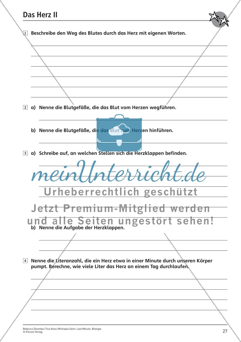 Bau und Funktion des menschlichen Körpers – Teil 4 Preview 3