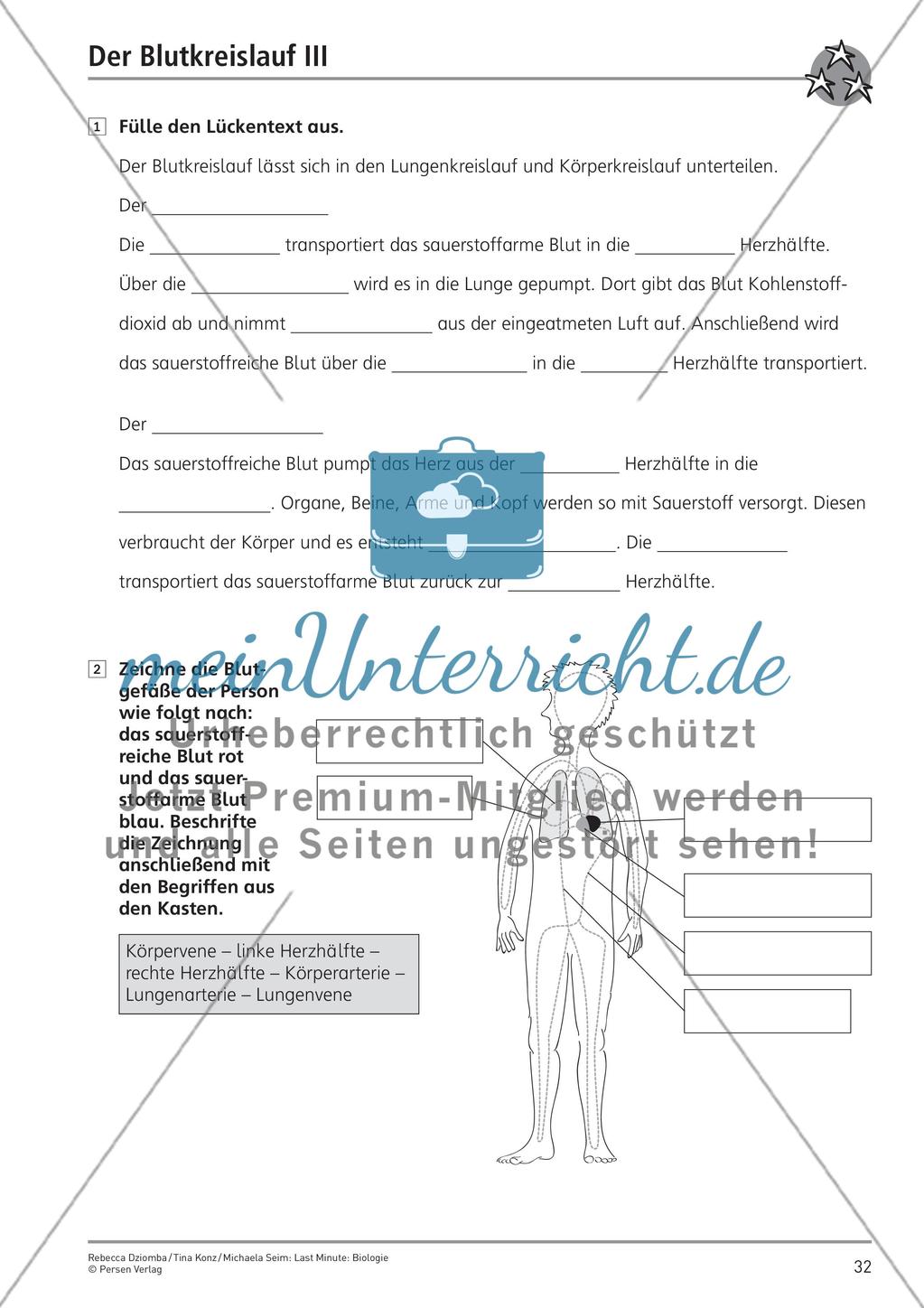 Bau und Funktion des menschlichen Körpers – Teil 4 Preview 8