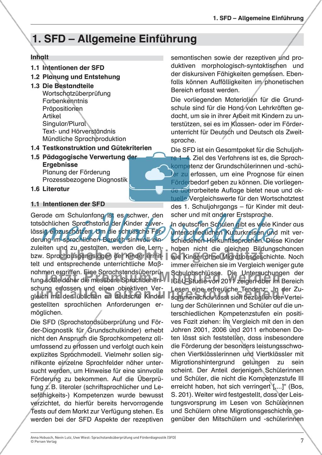 SFD – Allgemeine Einführung Preview 1