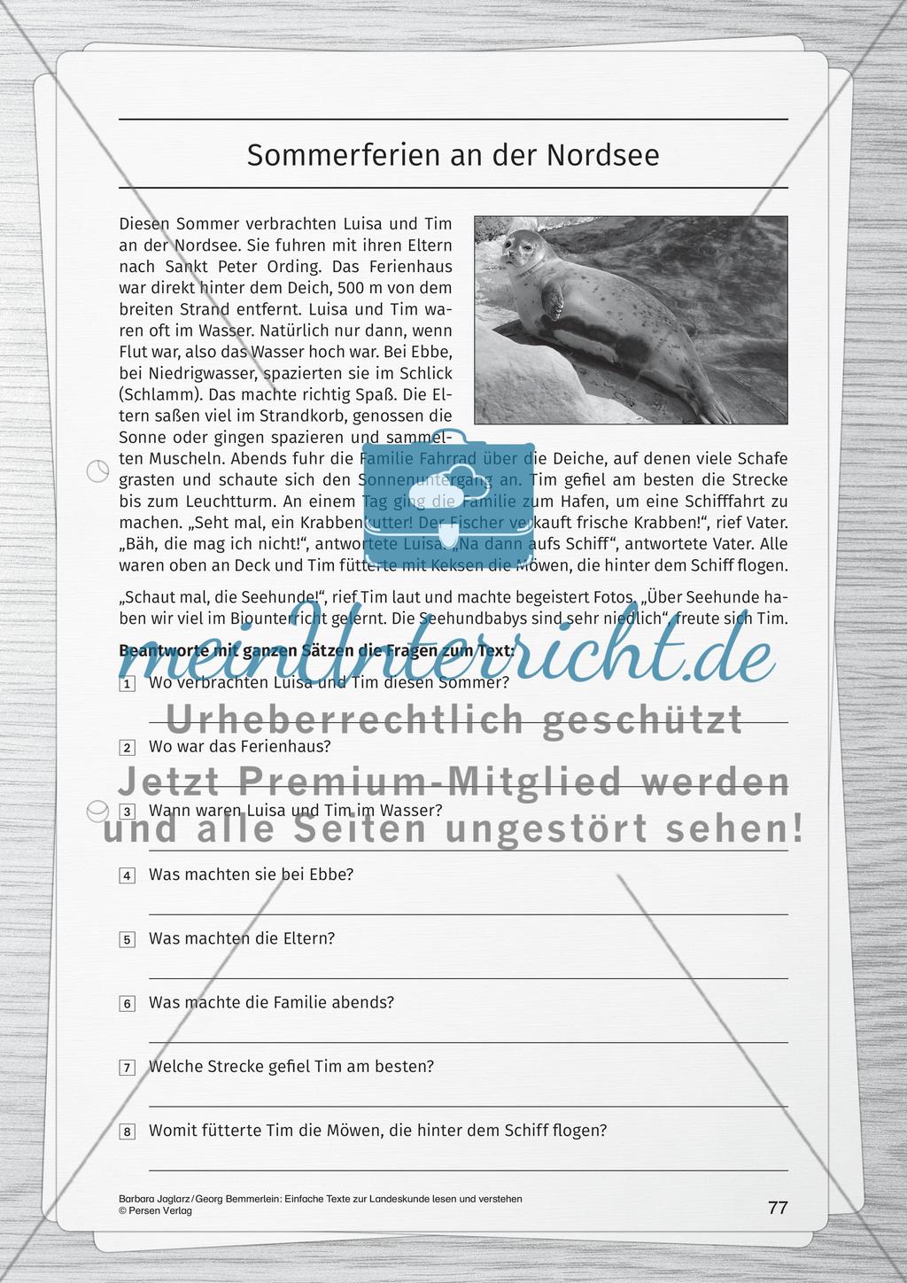 Sommerferien an der Nordsee Preview 1