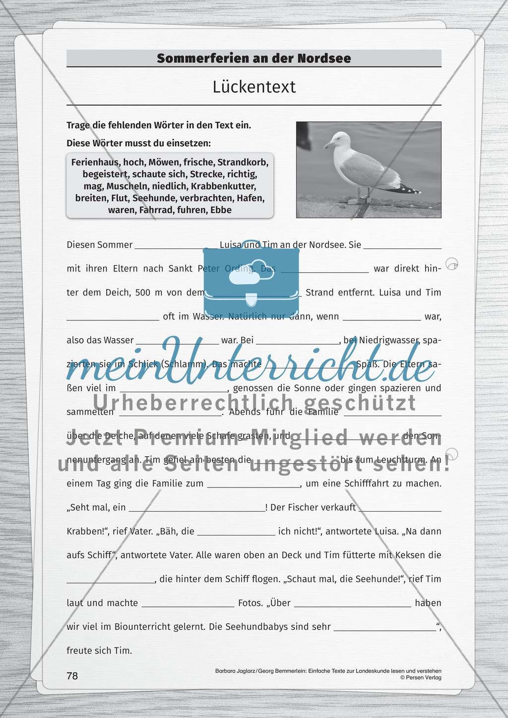 Sommerferien an der Nordsee Preview 2