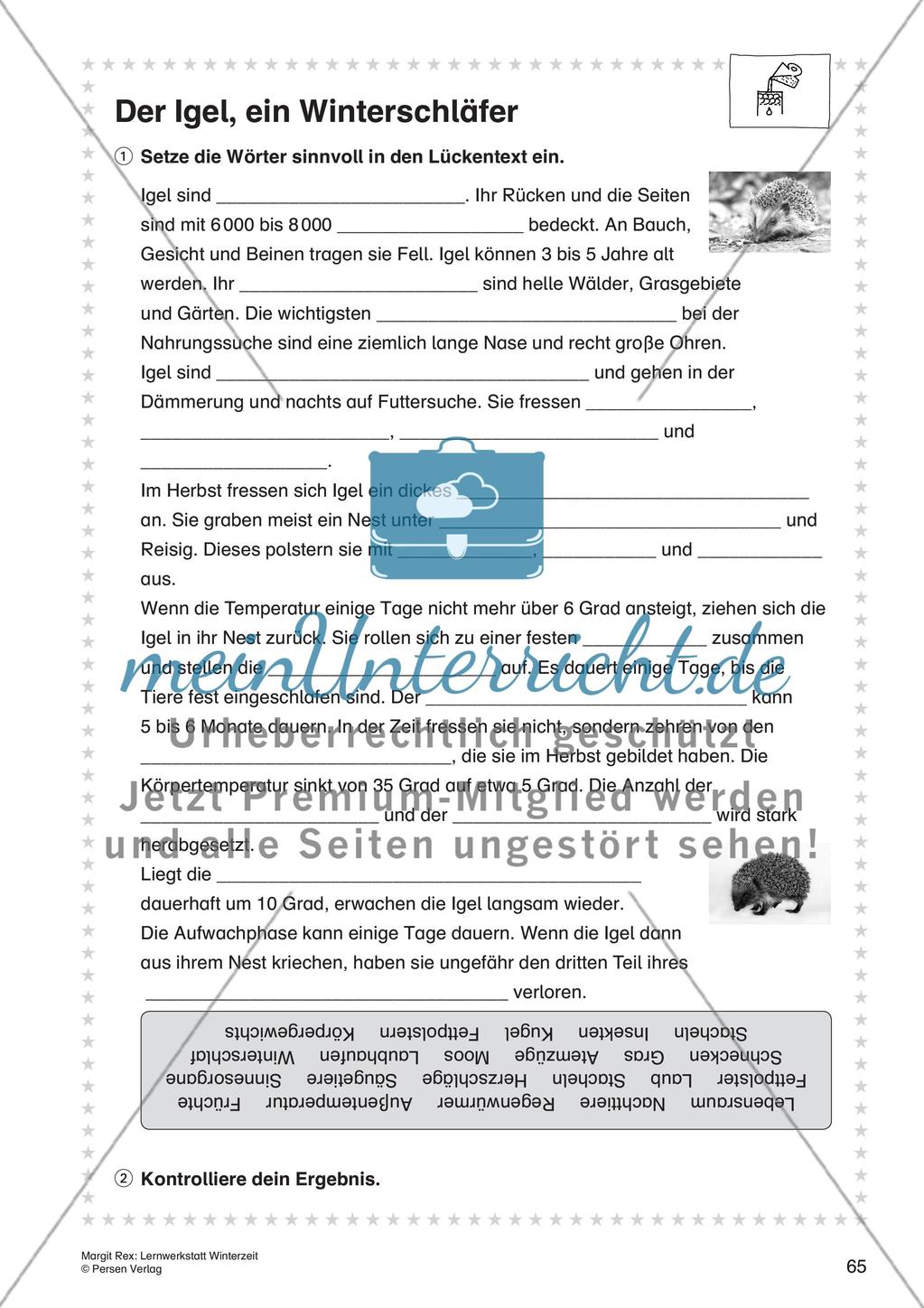 Sachunterricht Preview 13