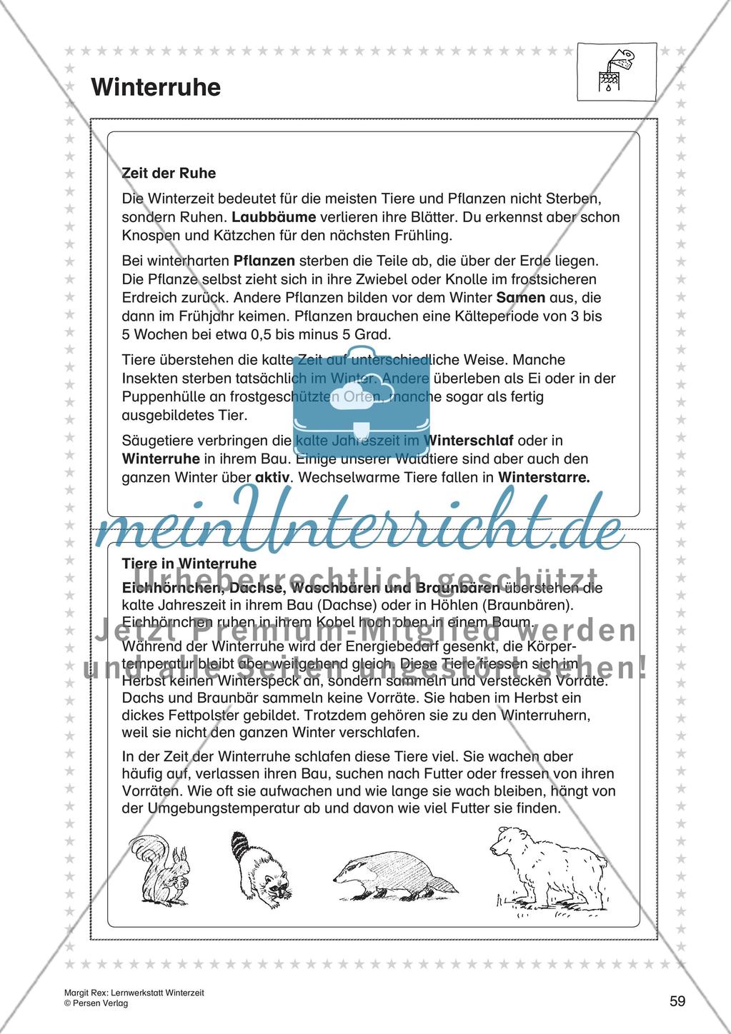 Sachunterricht Preview 7