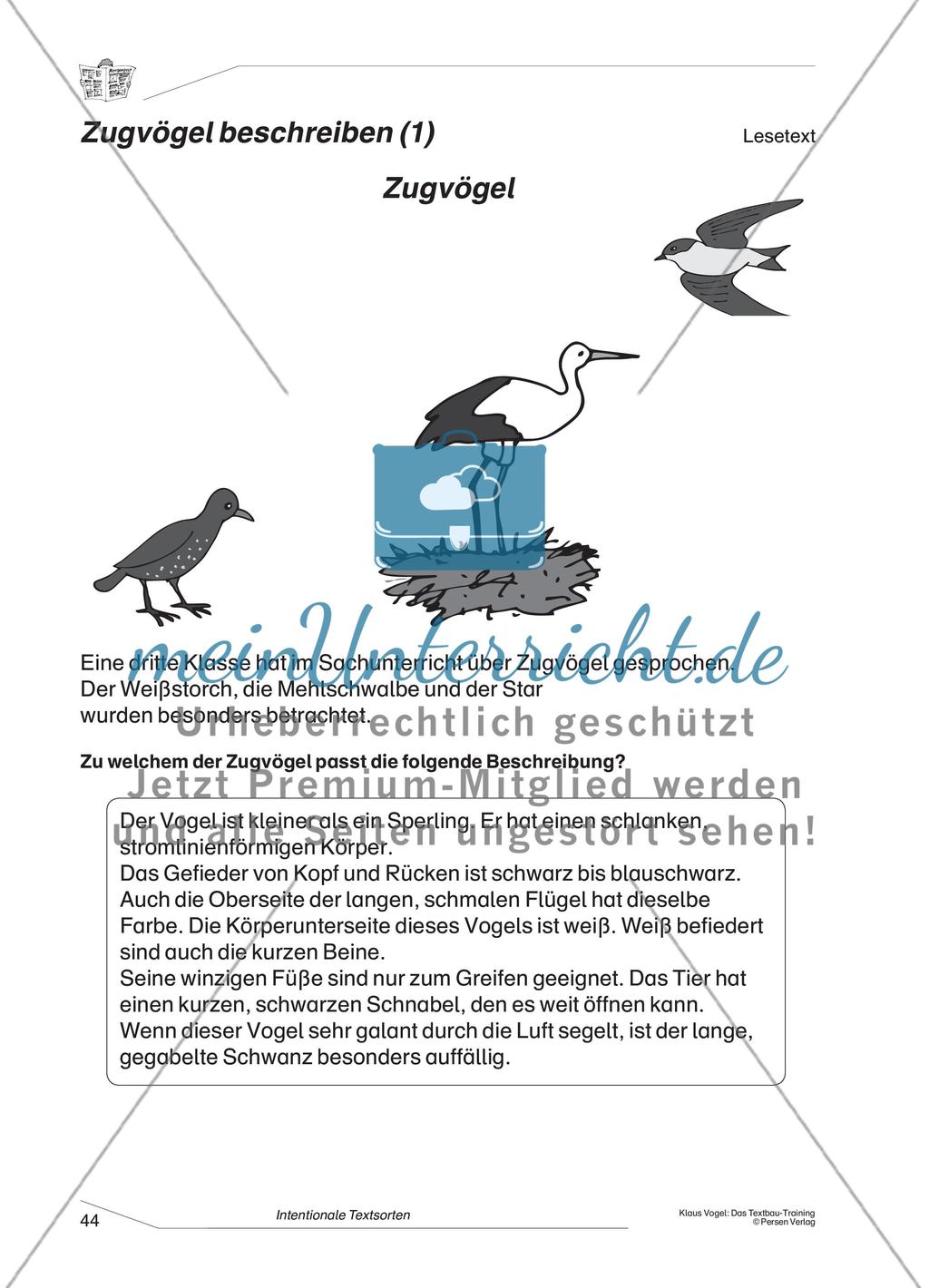 Beschreibung eines Zugvogels Preview 1