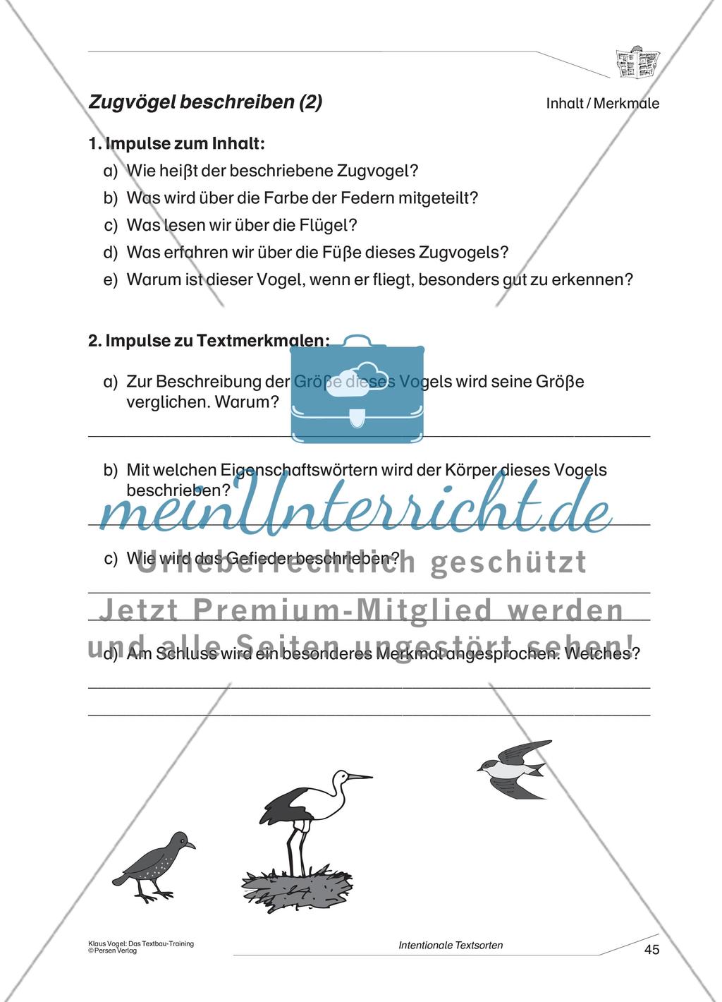 Beschreibung eines Zugvogels Preview 2