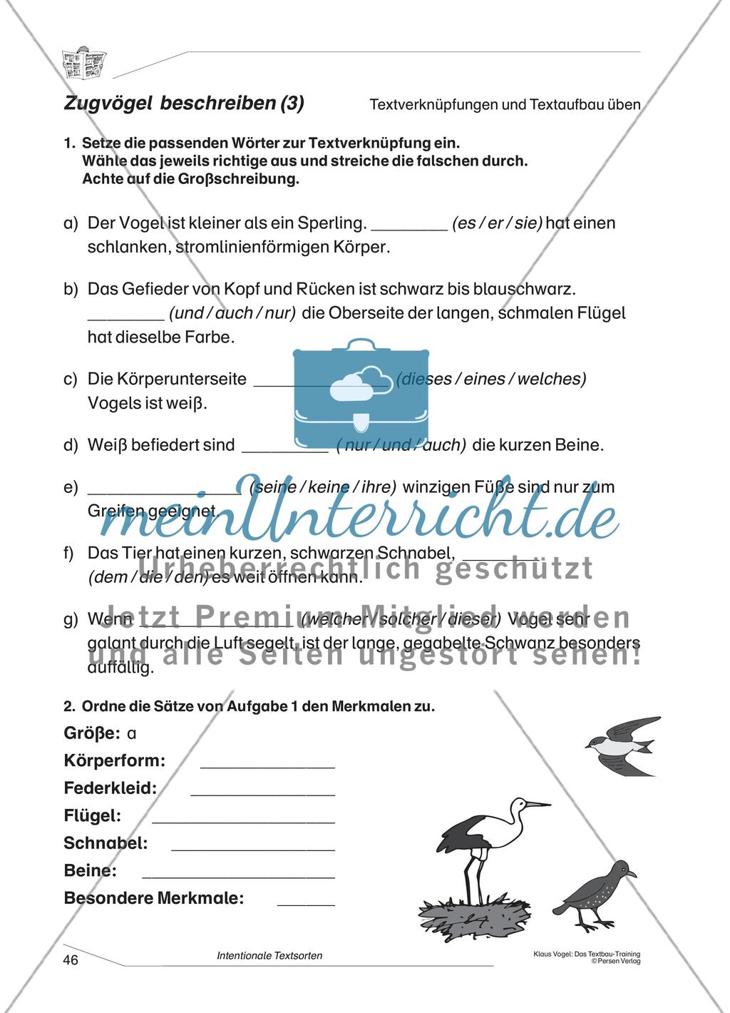 Beschreibung eines Zugvogels Preview 3