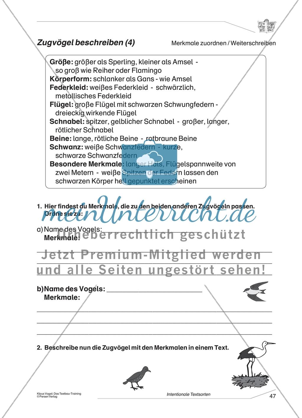 Beschreibung eines Zugvogels Preview 4