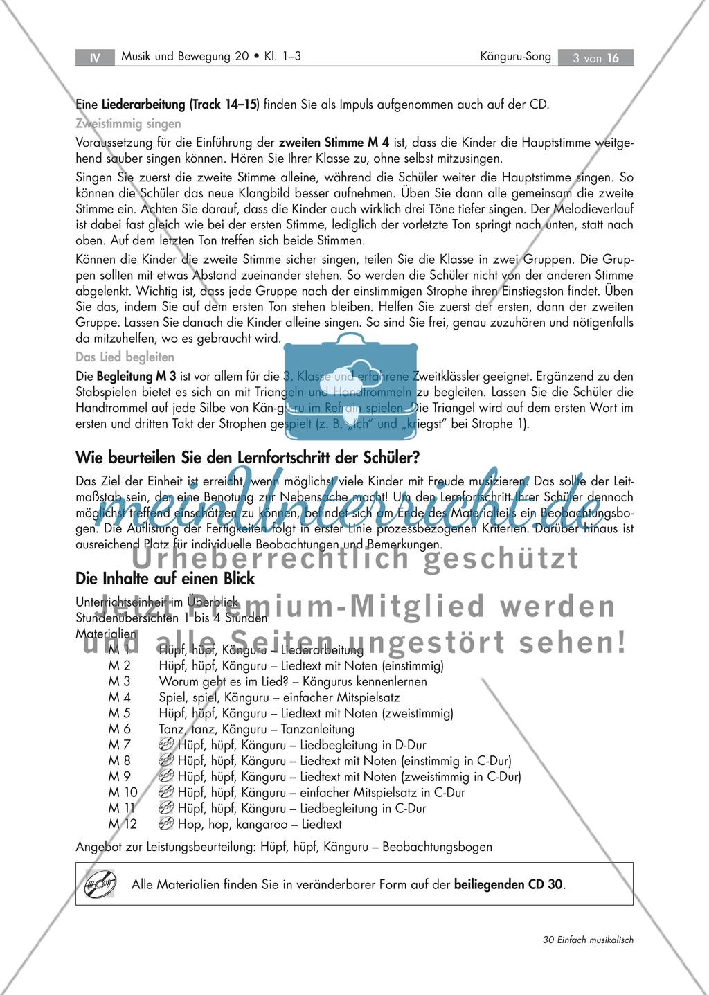 Kängurusong: Liederarbeitung Preview 3