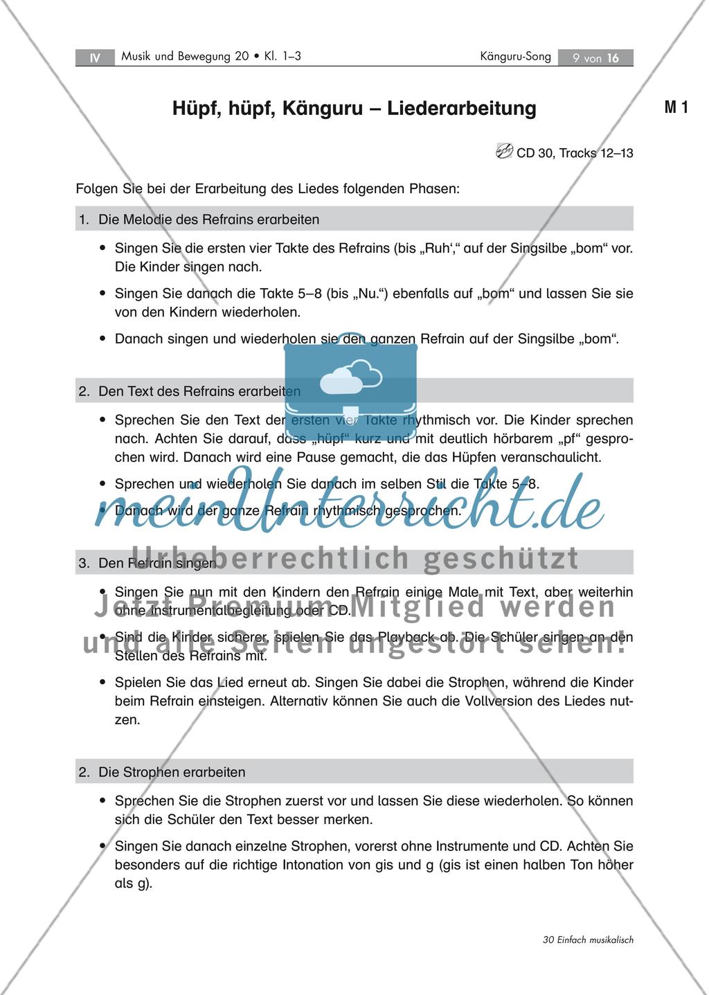 Kängurusong: Liederarbeitung Preview 9