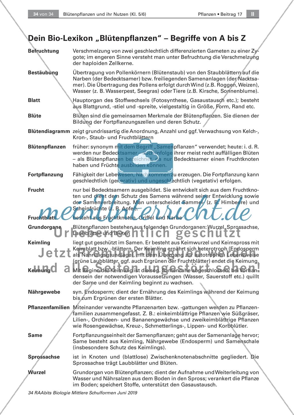 Nachtest Lernstandsdiagnose, Lexikon Blütenpflanzen Preview 3