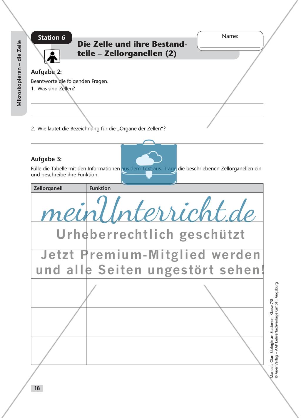 Mikroskopieren – die Zelle – Teil 1 Preview 11