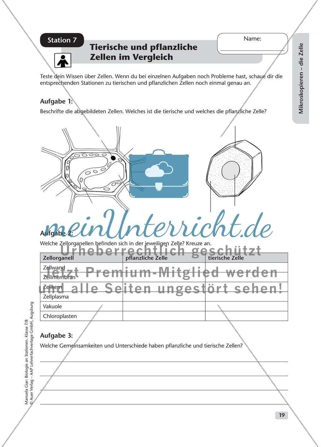 Mikroskopieren – die Zelle – Teil 1 Preview 12