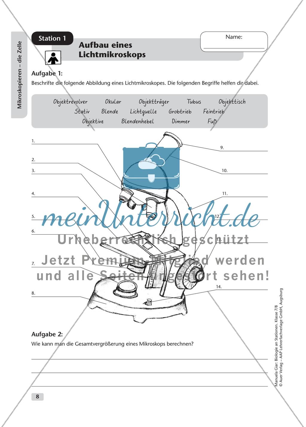 Mikroskopieren – die Zelle – Teil 1 Preview 1