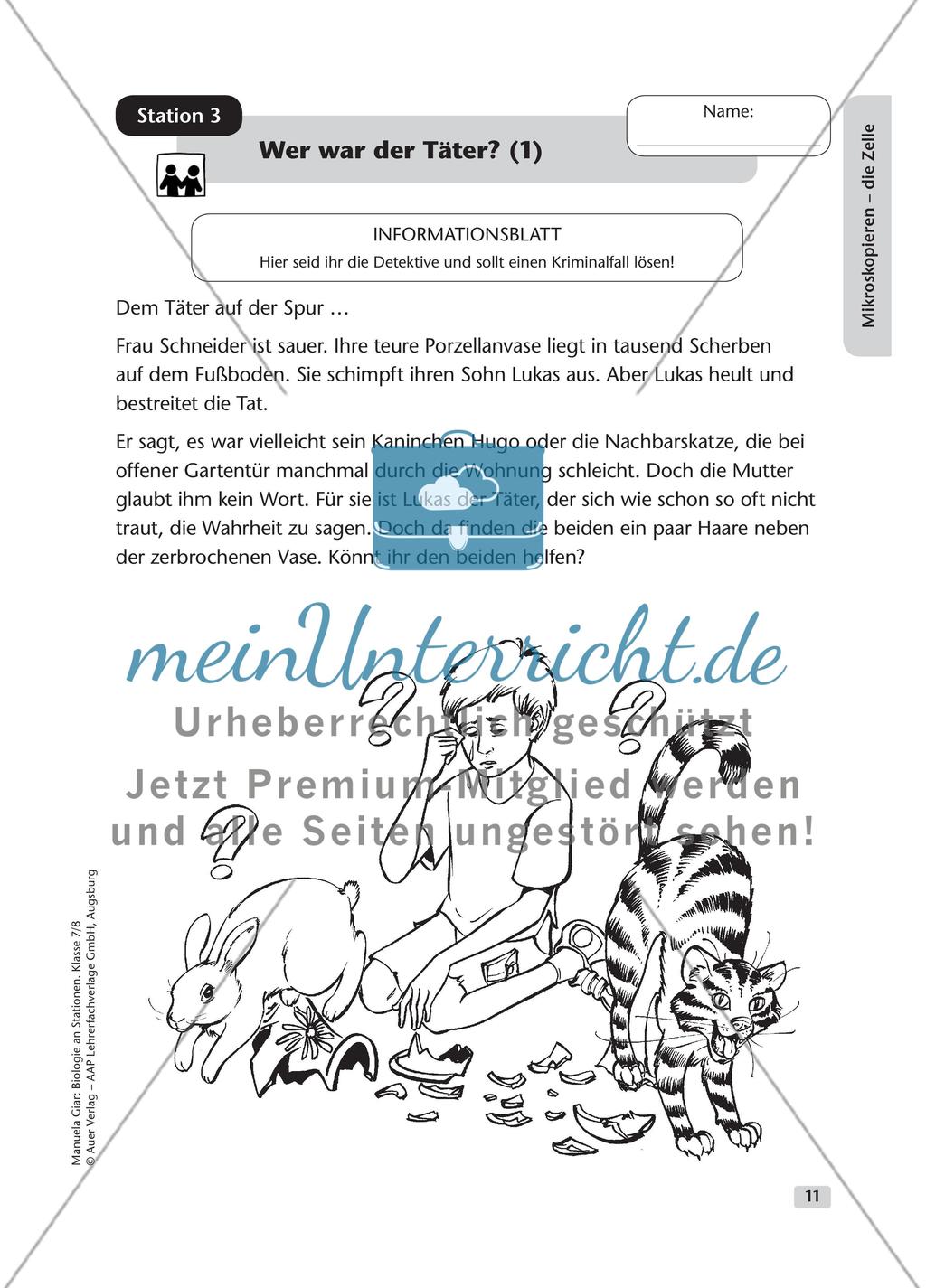 Mikroskopieren – die Zelle – Teil 1 Preview 4