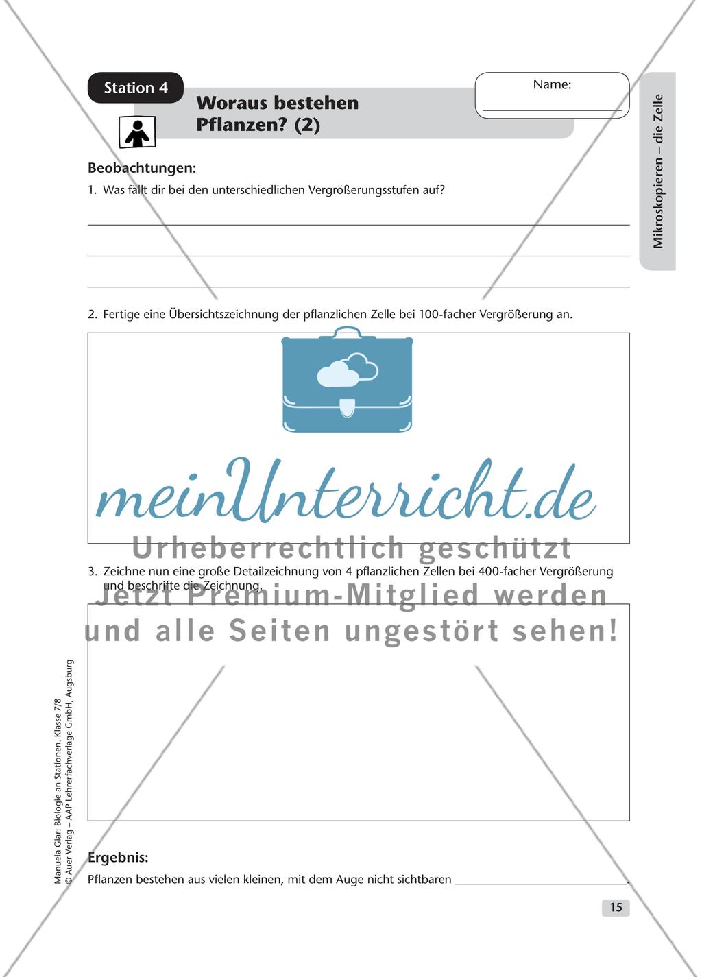 Mikroskopieren – die Zelle – Teil 1 Preview 8