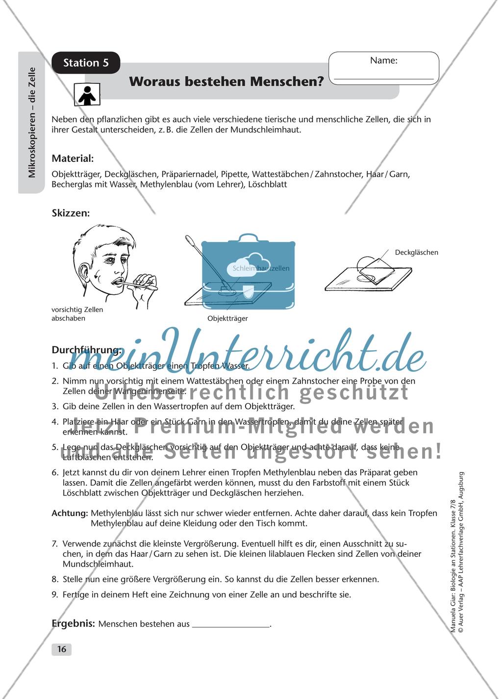 Mikroskopieren – die Zelle – Teil 1 Preview 9